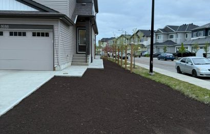 WhatsApp Image 2026-03-16 at 3.07.57 PM (1)