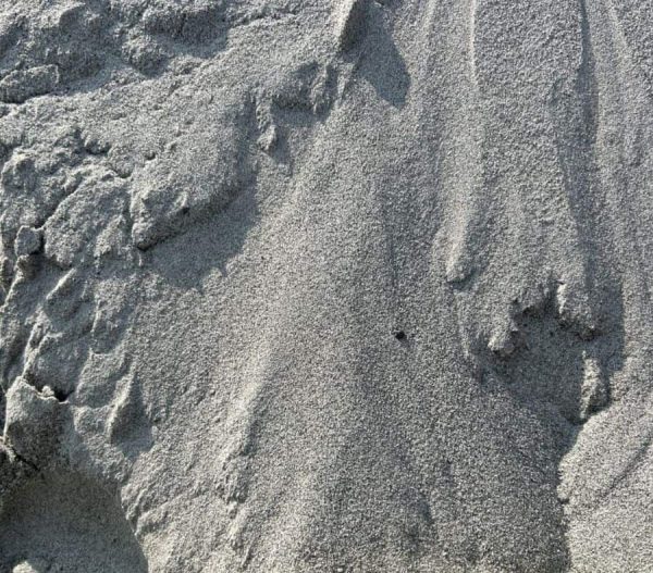Masonry Sand Examples Washed Paver/Masonary Sand – Armour Landscapping