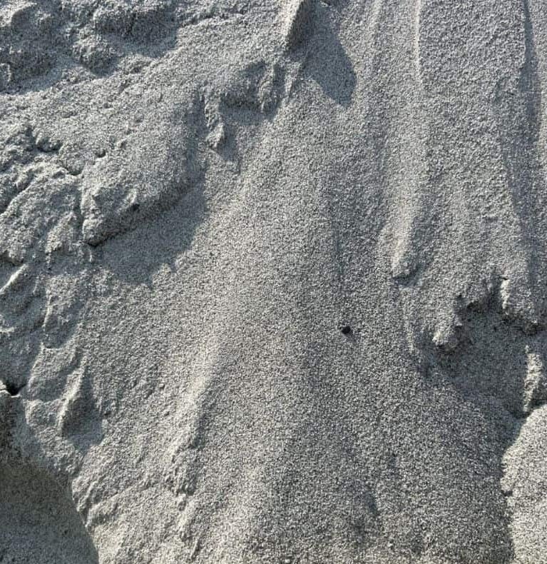 Washed Paver/Masonary Sand